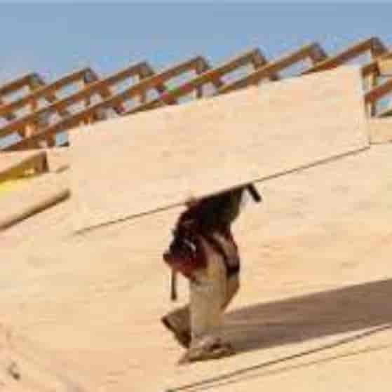 1748509500145.webp
