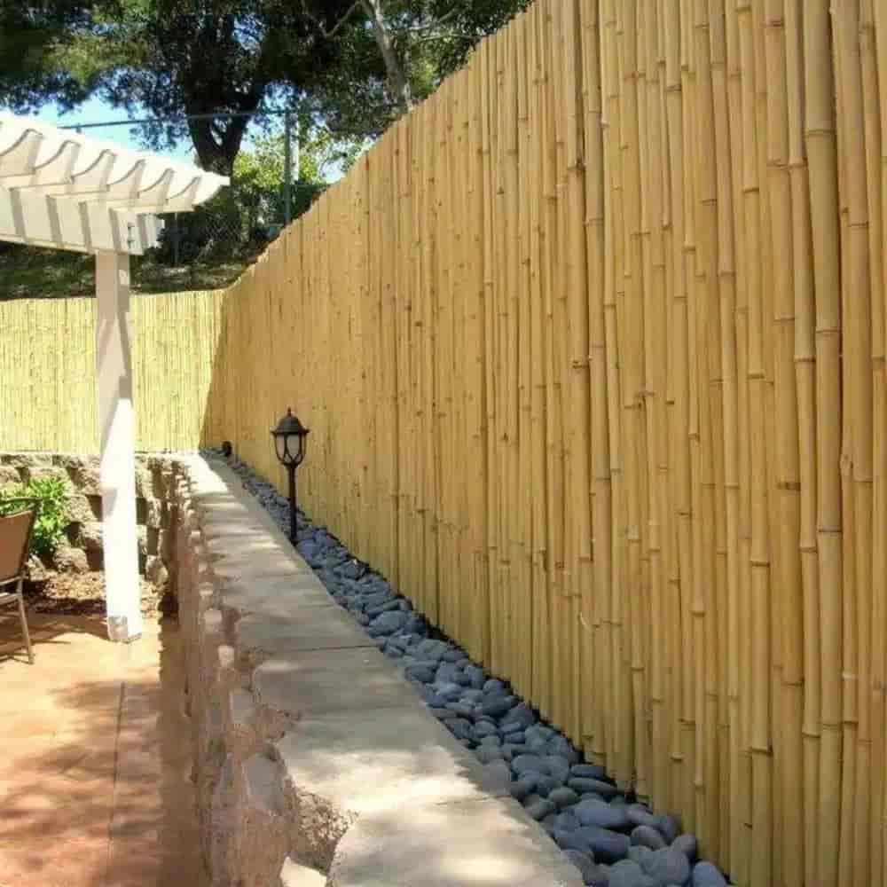 Bamboo fence and fence executive