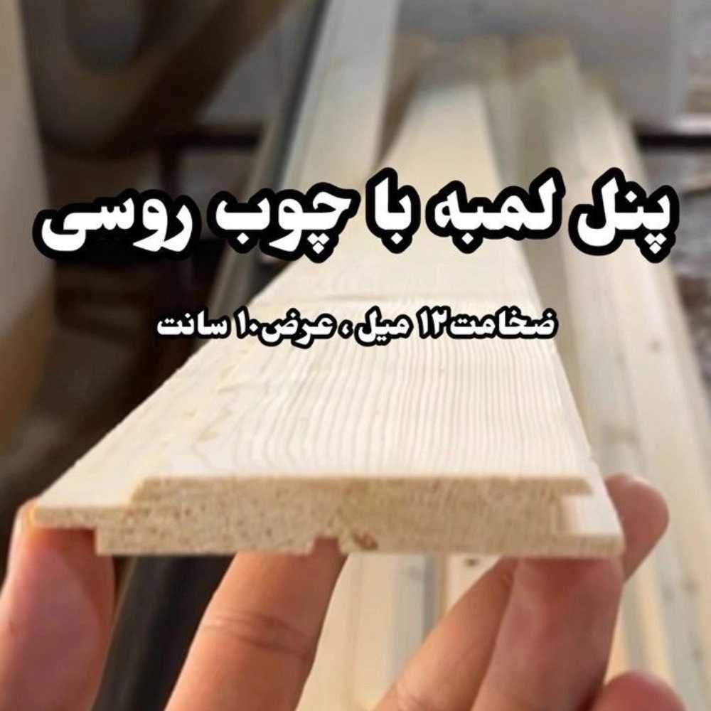 1765124494643.webp